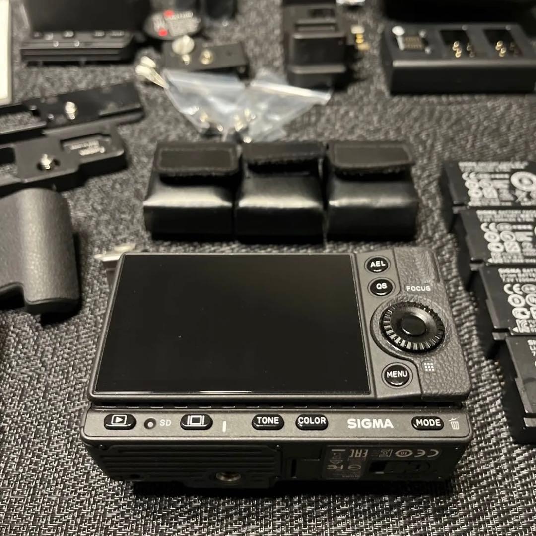 SIGMA fp L 本体　付属品多数