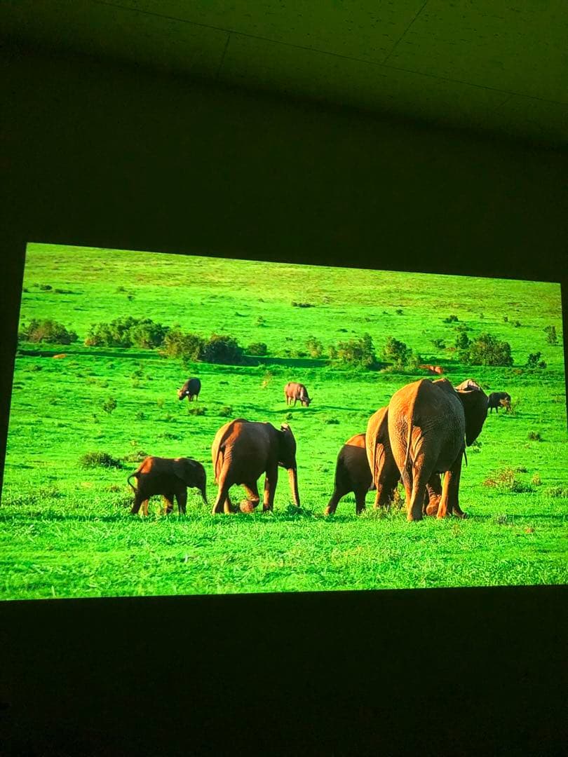 XGIMI HALO プロジェクター本体