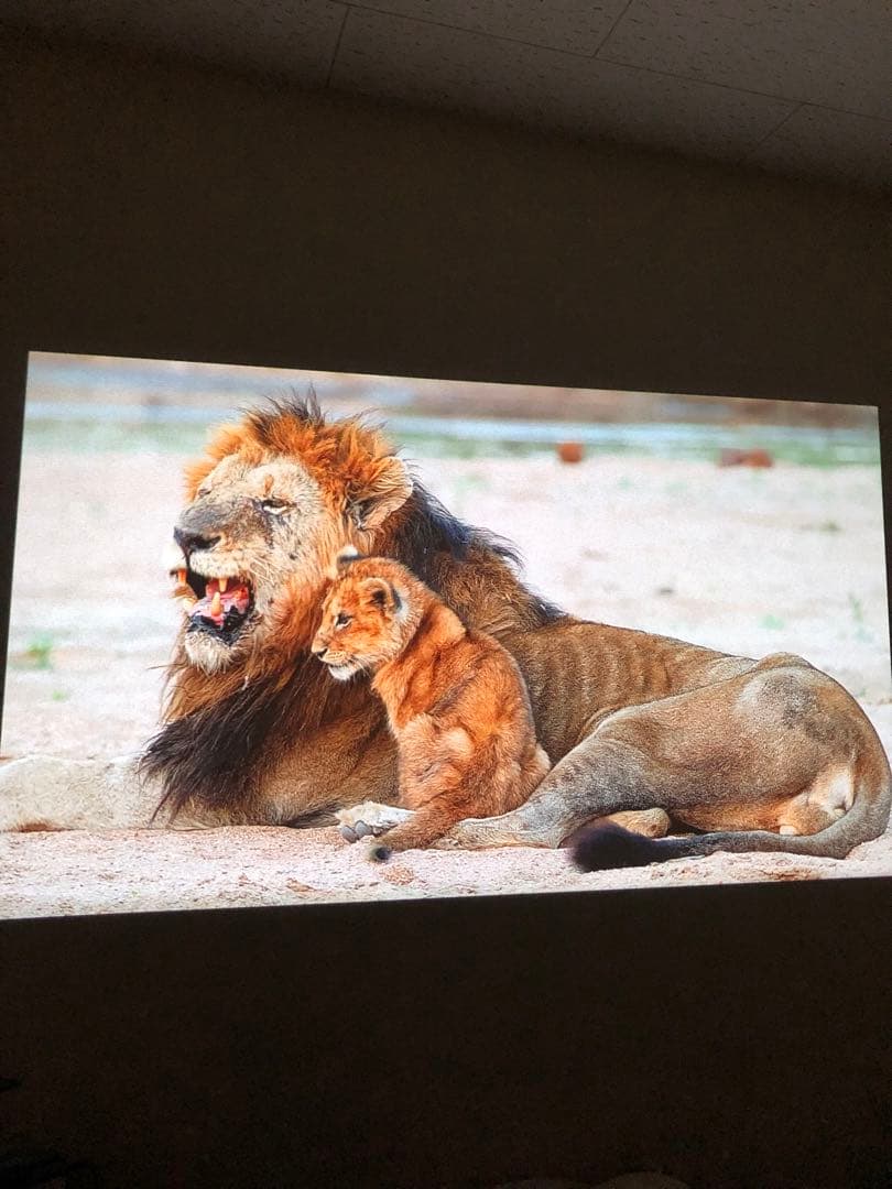 XGIMI HALO プロジェクター本体