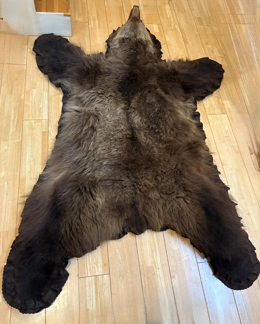 ★ 高品質 カナダ産 Grizzly ラグ　頭骨付　※CITES・登録票付