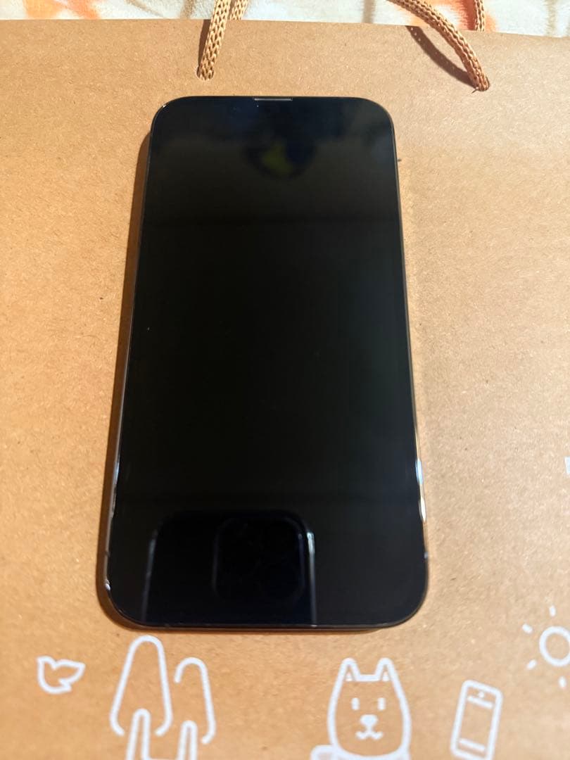 B*様 iPhone13pro 512GB