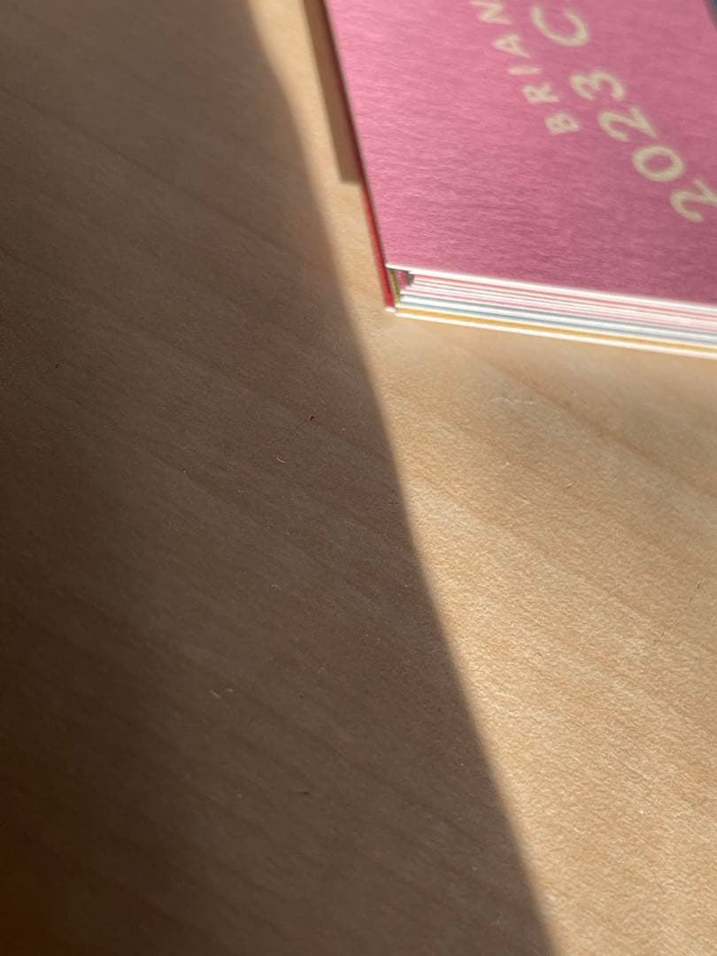 ブリアナギガンテ カレンダー 2023 MUNE×BRIANA GIGANTE