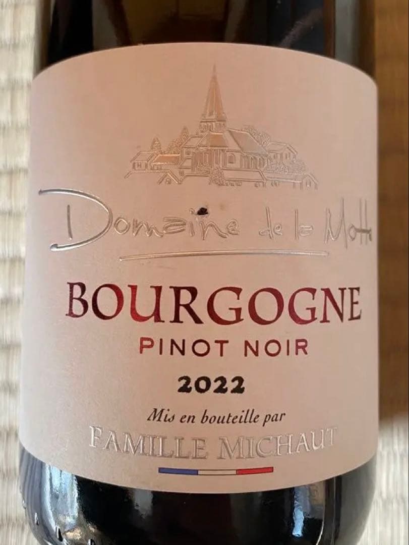【フランス直輸入】Bourgogne Pinot Noir 2022