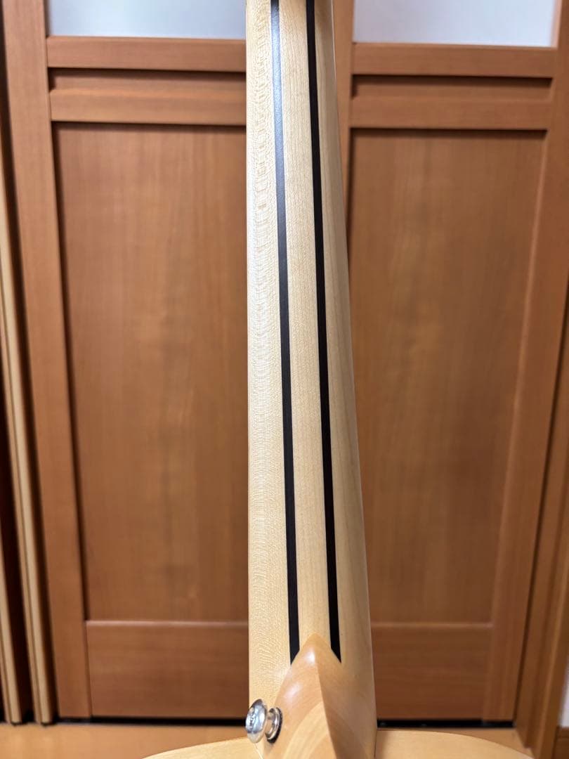 【み】NAGI Guitars shiro mini