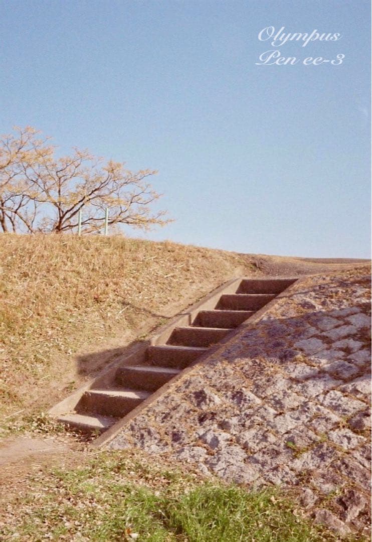 完動品＊美品＊初期保証★OLYMPUS Pen EE-3★フィルム入門に！