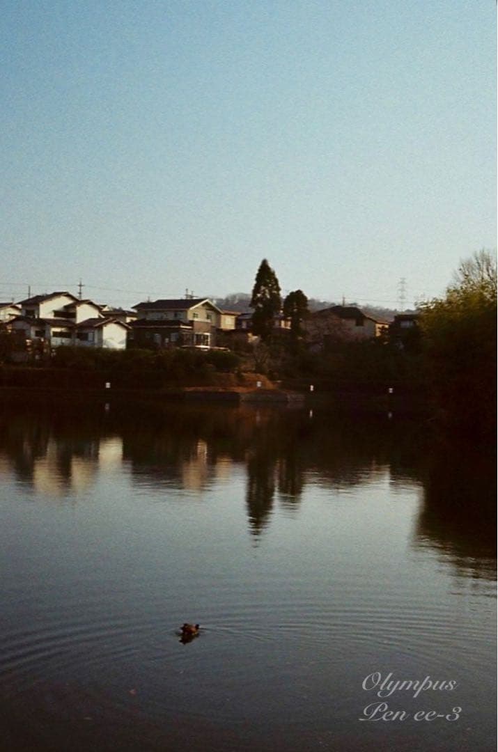 完動品＊美品＊初期保証★OLYMPUS Pen EE-3★フィルム入門に！