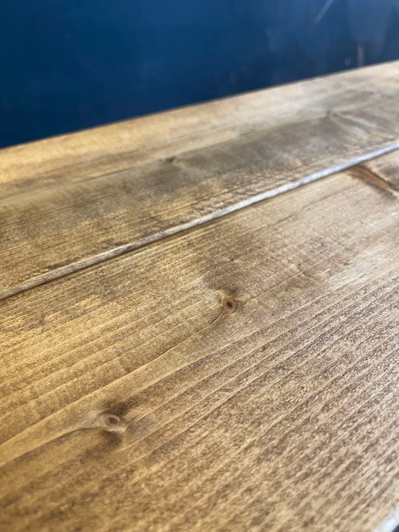 ダクトレール付！　植物棚　アイアンシェルフ　ボタニカルシェルフ　アガベ　塊根植物