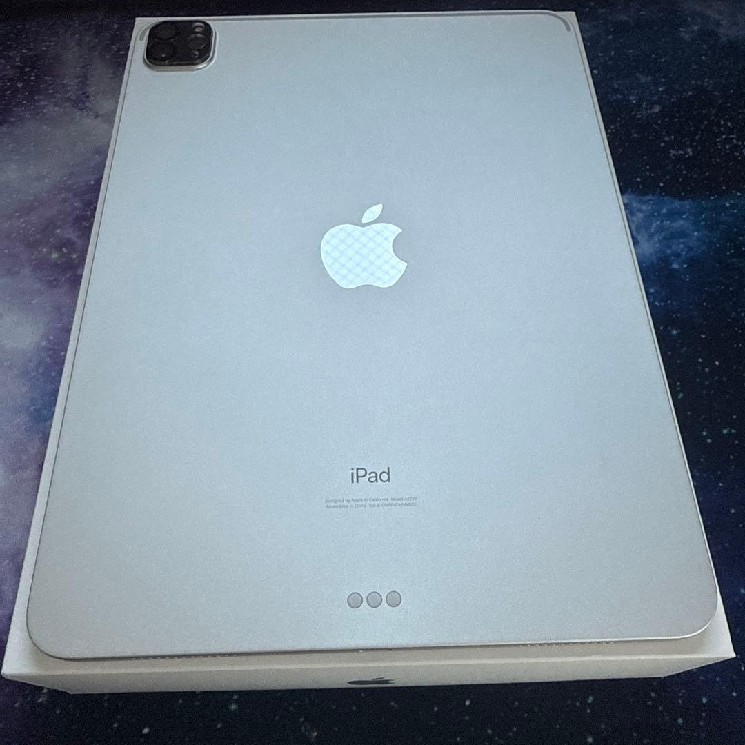 iPad Pro 11インチ 第二世代 256GB WIFI シルバー 箱付き