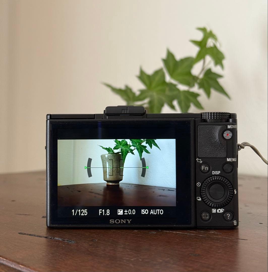 デジタルカメラ SONY Cyber-shot DSC-RX100M2