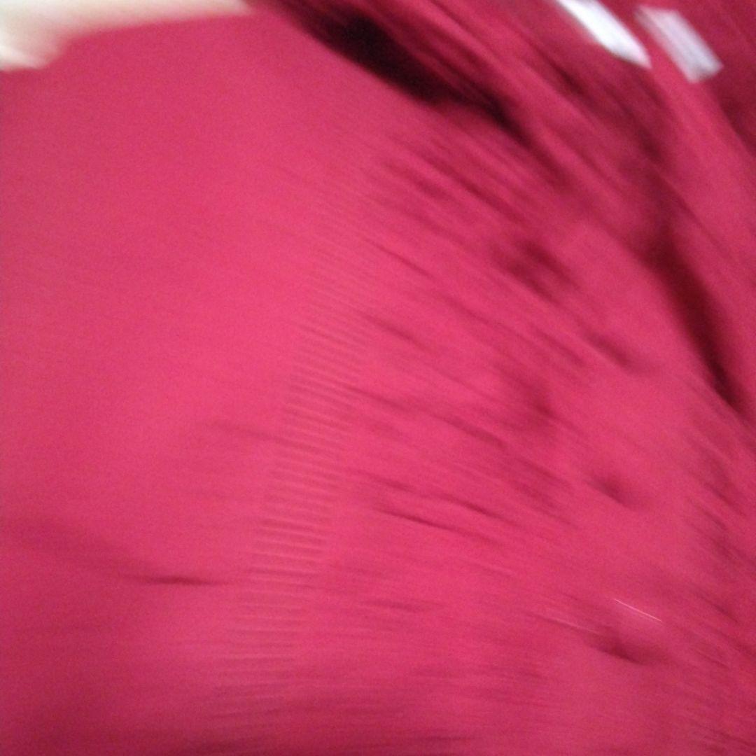 ピンクハウス　インゲボルグ　ピコフリルいっぱいフード付ブラウス