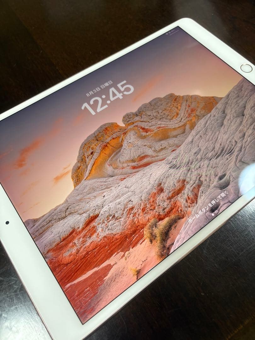 iPad本体 iPadpro 10.5