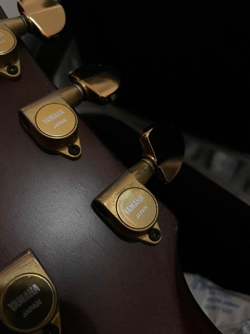 【希少】YAMAHA CPX-15E Compass series