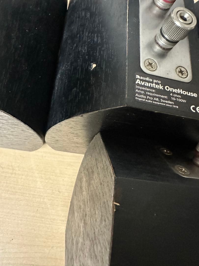 n*9様 サブウーファー：Audio Pro Ace-Bass