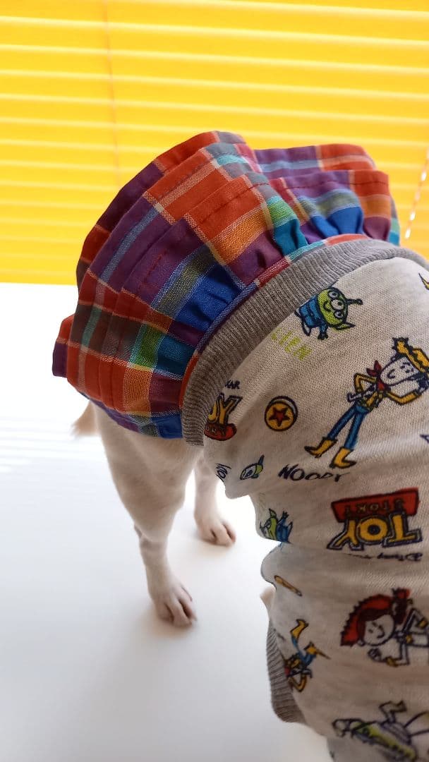 犬の服　スカートのみ　500円