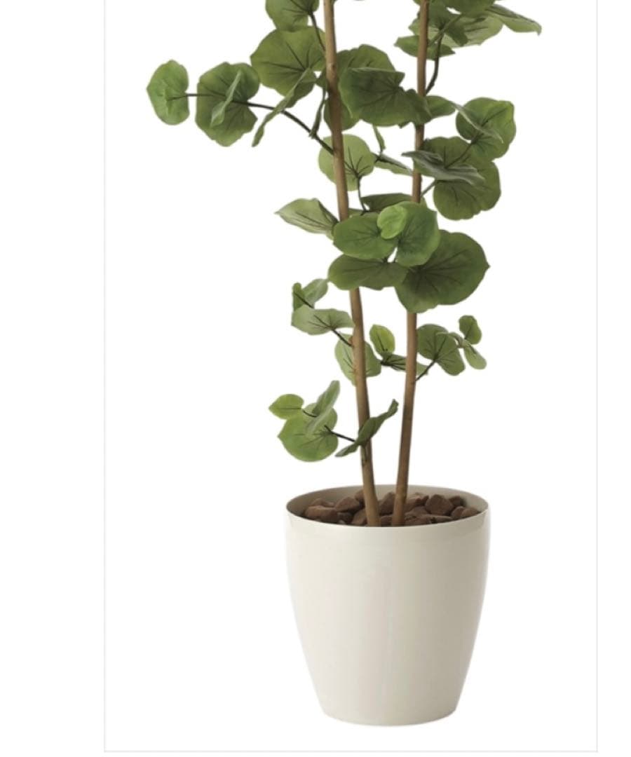光触媒　人工観葉植物　ウォールグリーン　フェイクグリーン　シーグレープ1.6ｍ@