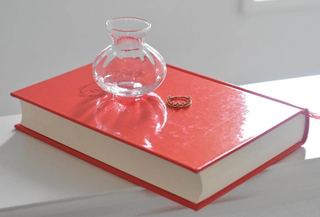 Nikon F2 フォトミックA Ai-S NIKKOR 50mm F1.8