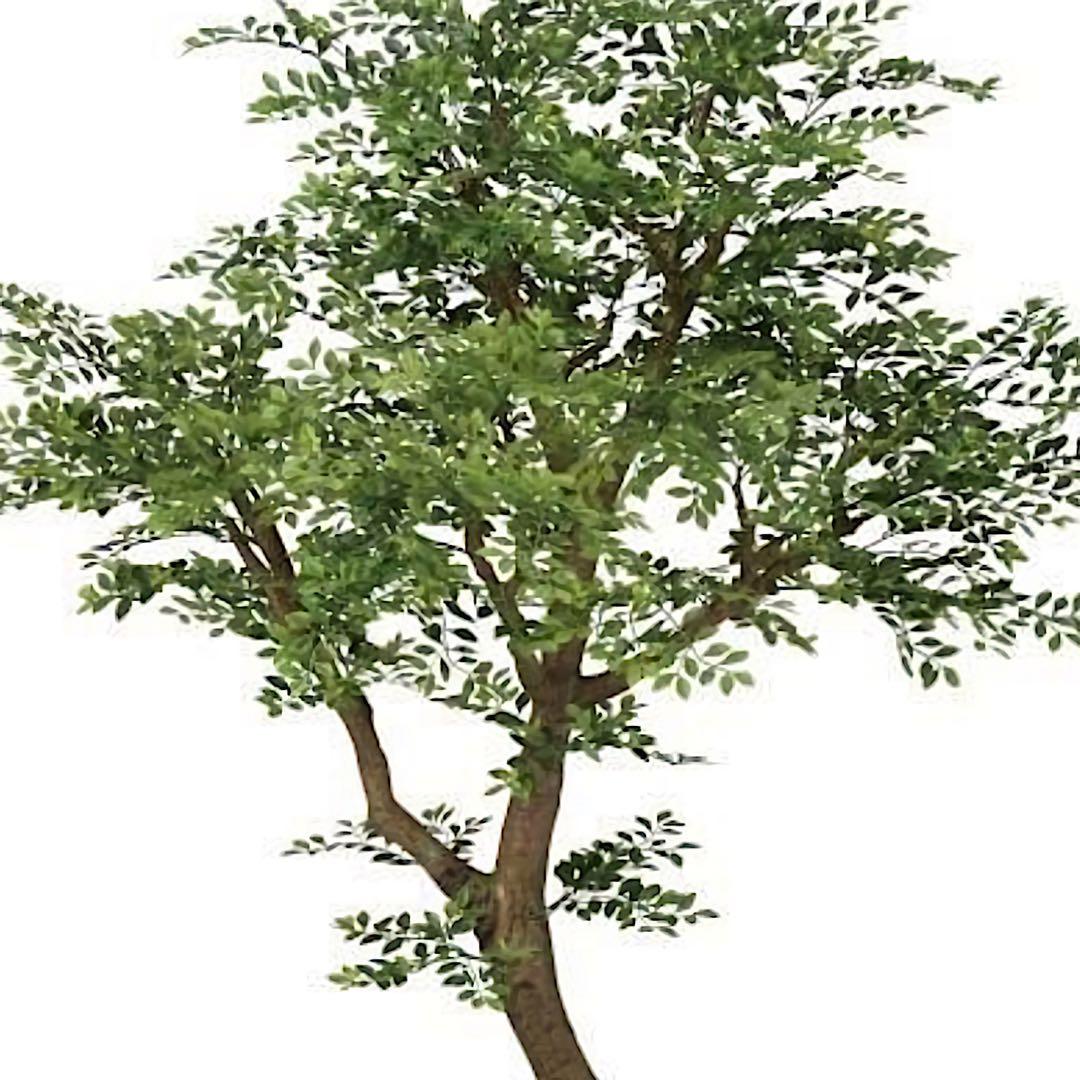 光触媒　人工観葉植物　ウォールグリーン　フェイクグリーン　ゴールデンコアッド