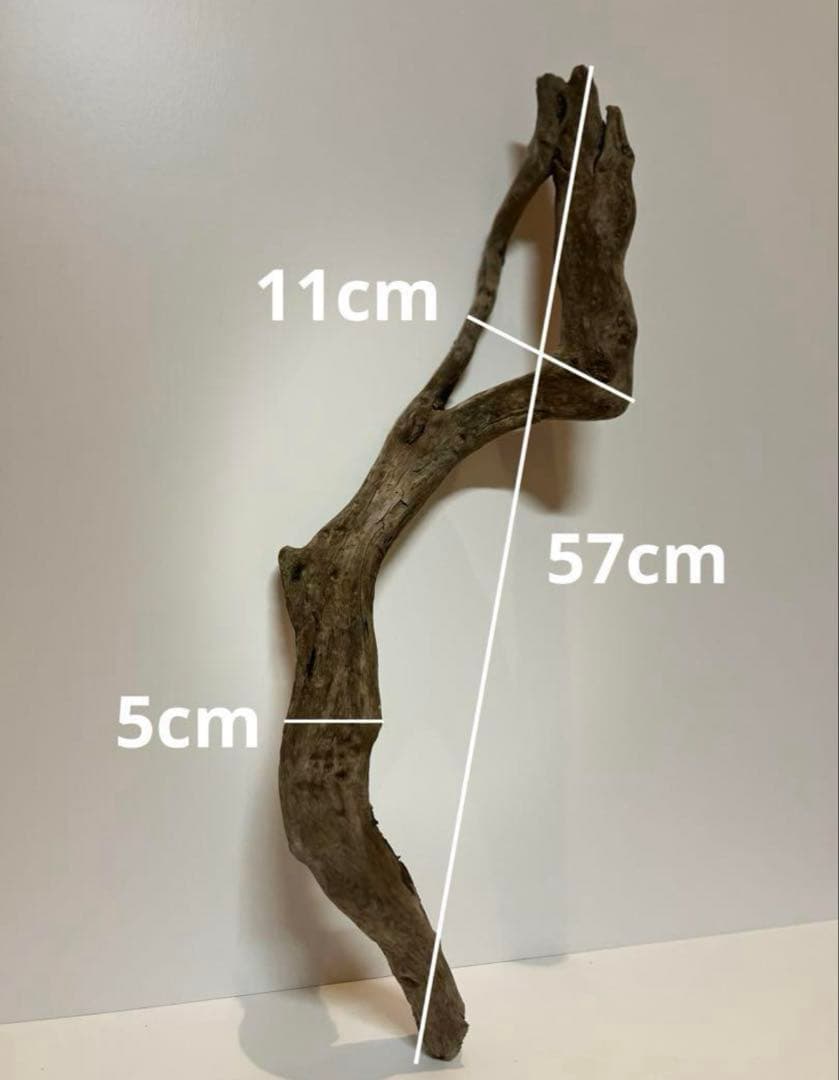 yuma爬虫類ケージ工房様 リクエスト 4点 まとめ商品