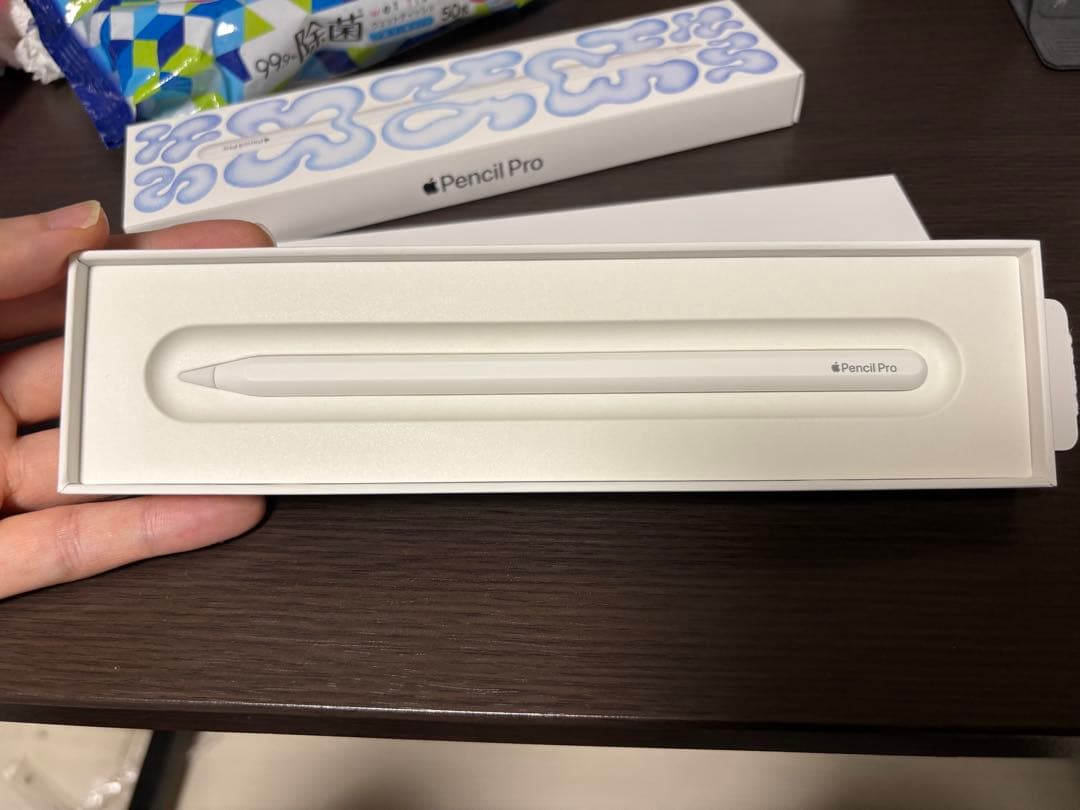 Apple Pencil Pro 専用ケース付き アルコール消毒済み