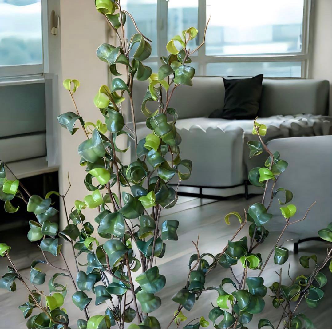 光触媒　人工観葉植物　ウォールグリーン　フェイクグリーン　ベンジャミンバロックy