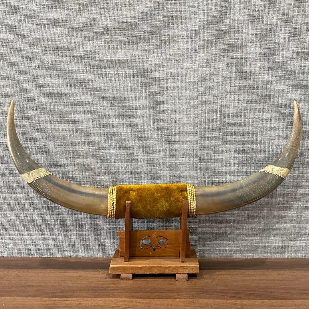 水牛の角　置物　インテリア