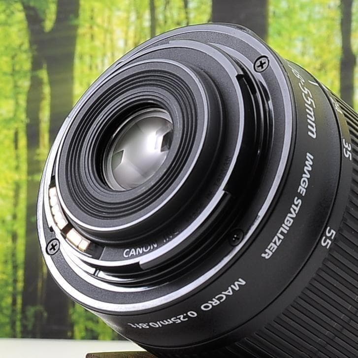 ショット数1715枚！スマホ転送セット☆キャノン Kiss X７☆動画撮影も！