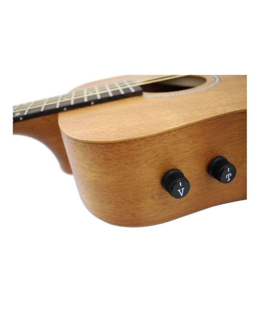 ヤイリ　エレアコギター