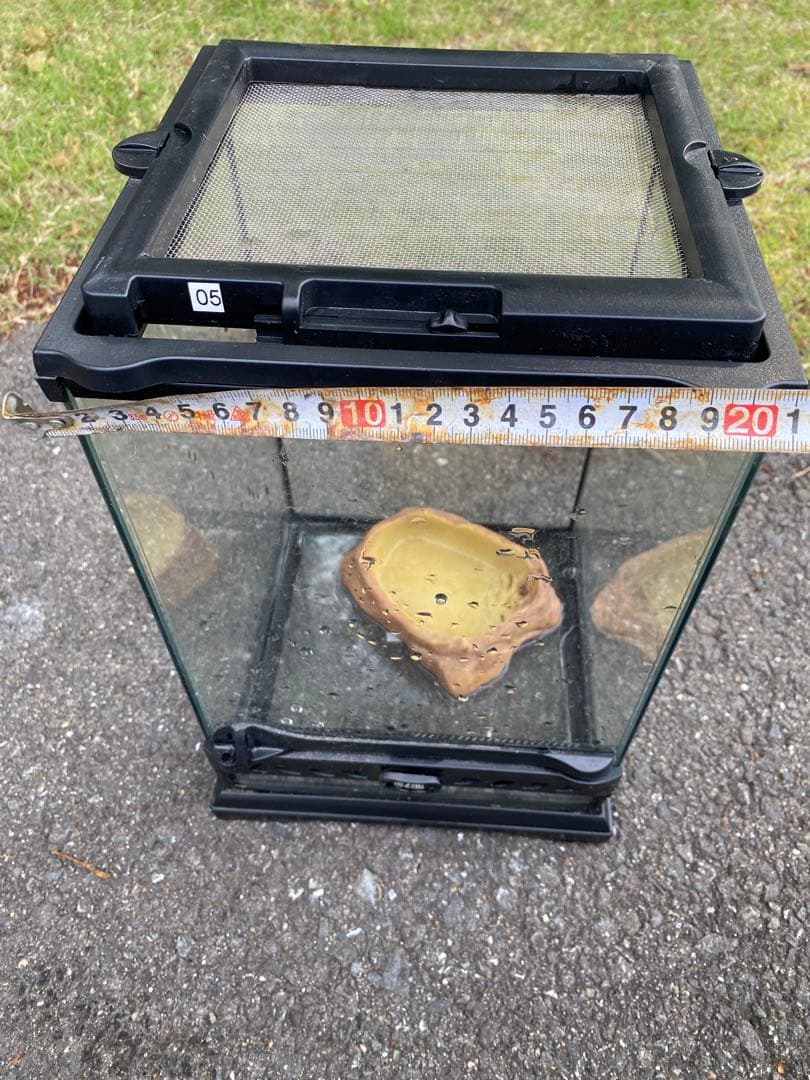 ガラス・プラスチック飼育ケースセット 10个