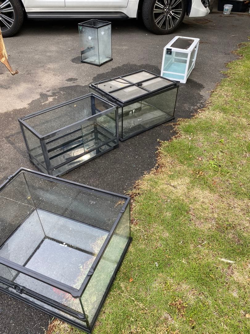 ガラス・プラスチック飼育ケースセット 10个