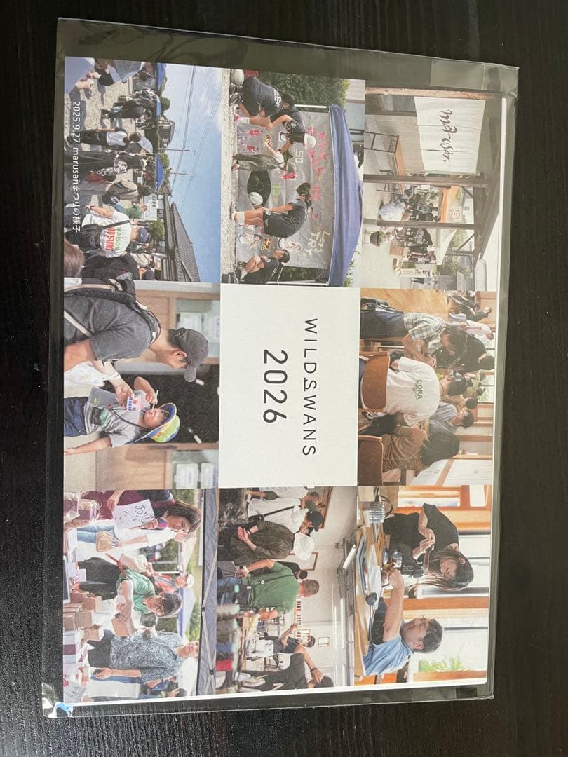 WILD SWANS スフマート アドラー ADLER王冠　英字　横文字　旧ロゴ