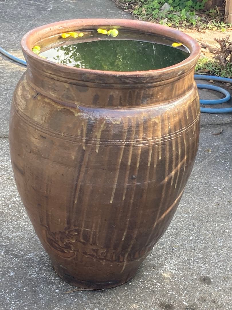 大型 水瓶 睡蓮鉢 火鉢 陶器製 壺 メダカ鉢 高さ64cm 直径42cm 骨董