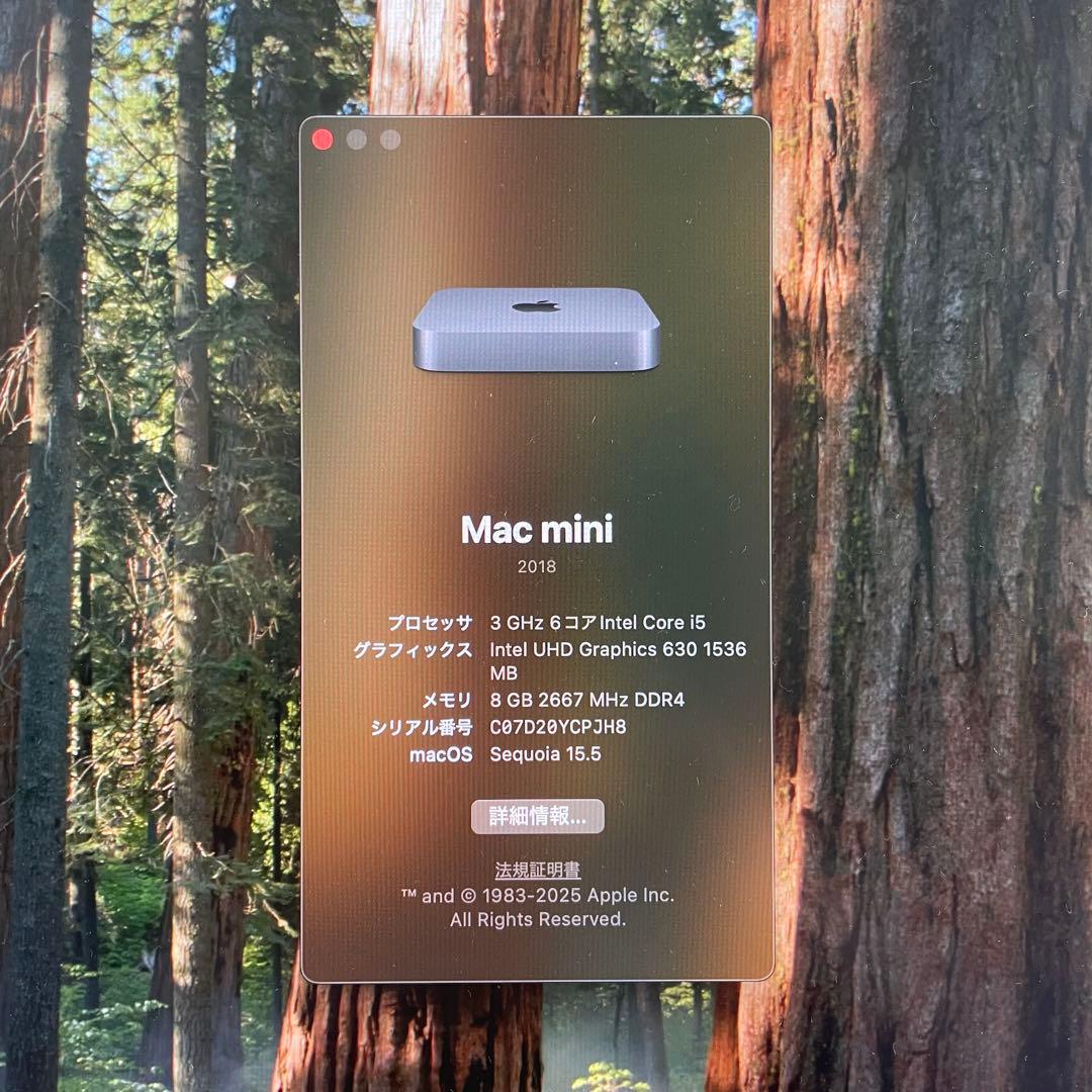 Mac mini (2018) i5 3.0GHz 6コア/8GB/512GB