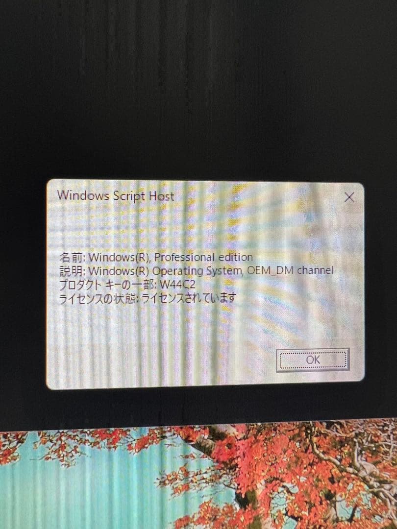 【ミニPC Alder Lake N100 16GB+256GB】