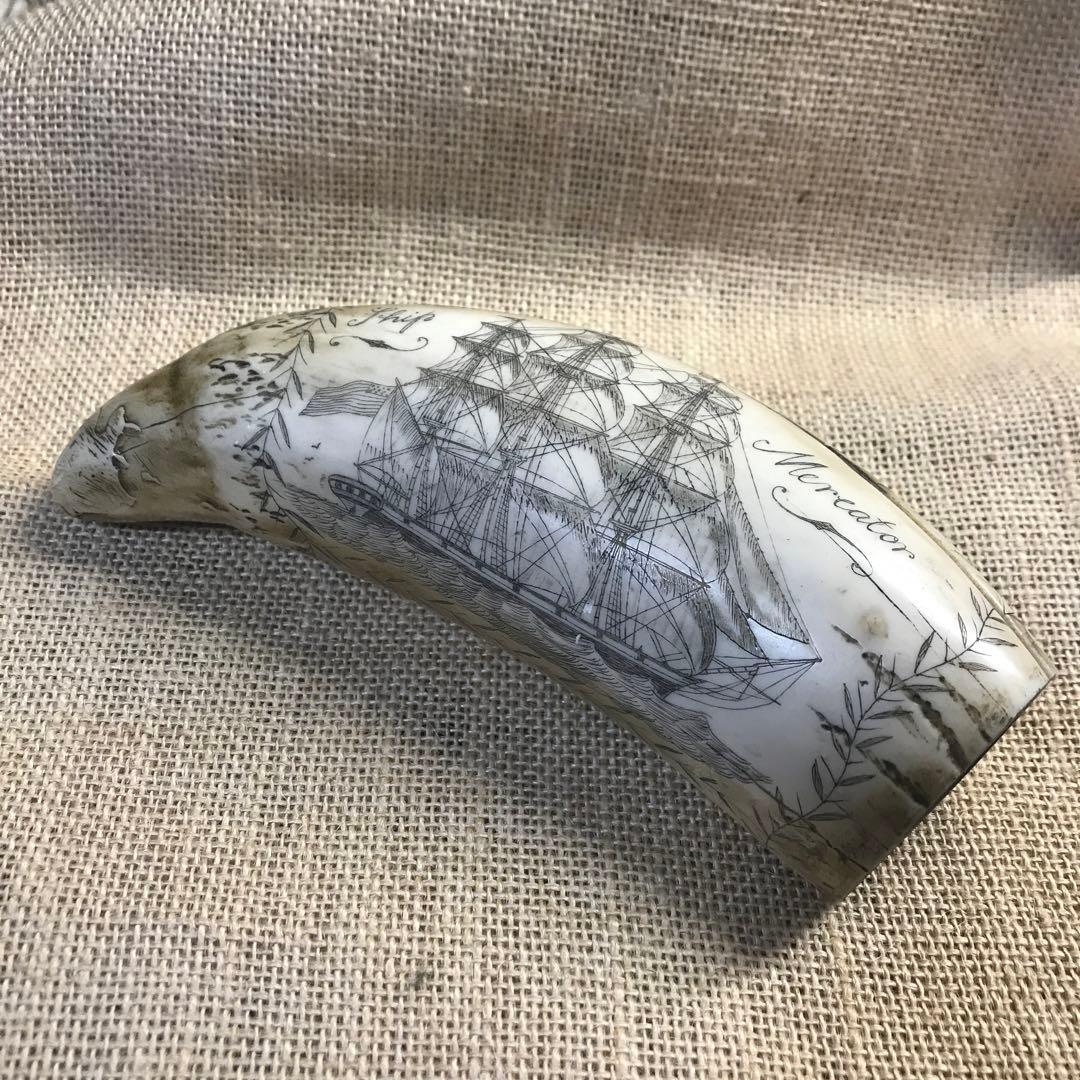 スクリムショー　鯨歯　クジラ　牙　彫刻