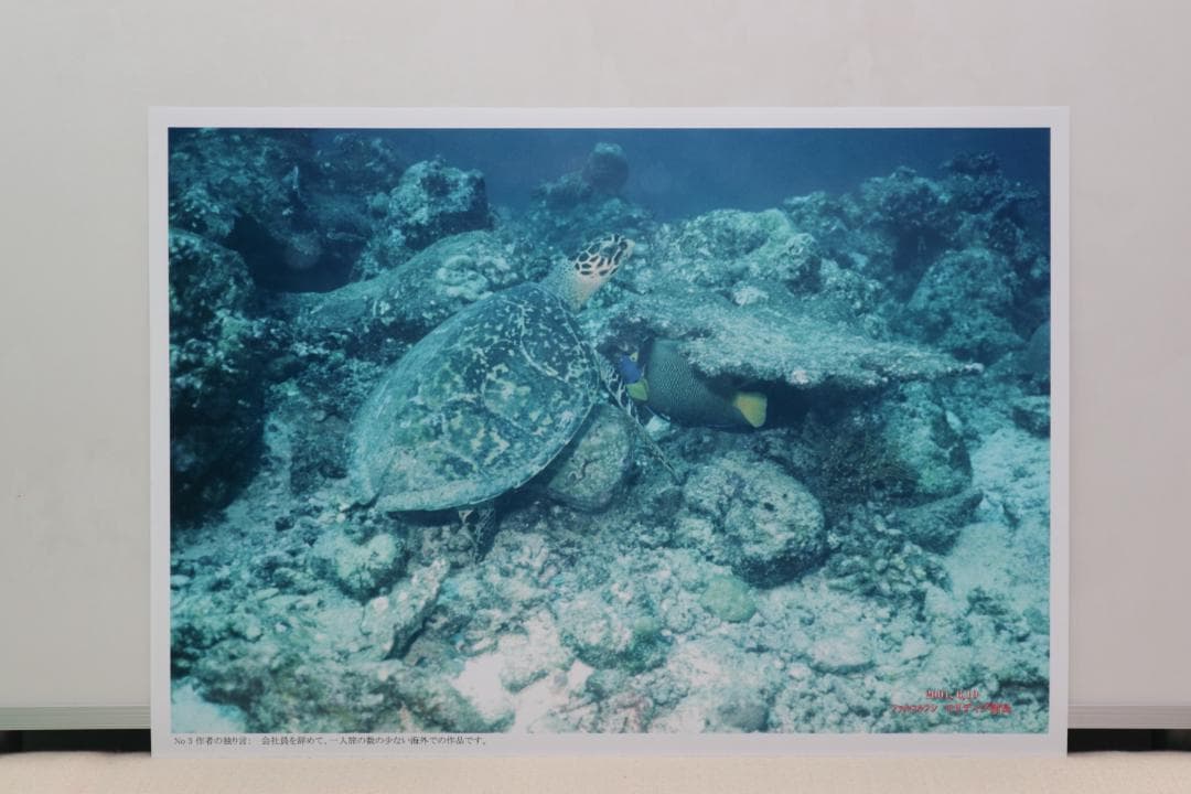 インテリア用写真