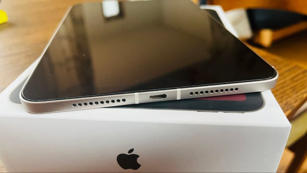 iPad mini (第7世代) Wi-Fi + Cellular 256GB