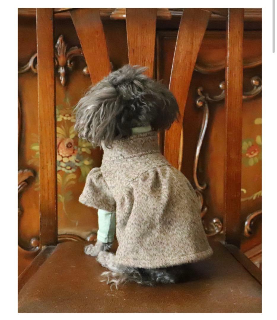 アトリエ gg オードリー　サイズ18