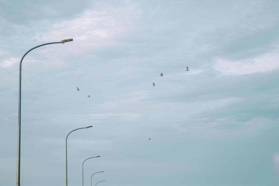 【作例あり】LUMIX 50mm F1.8