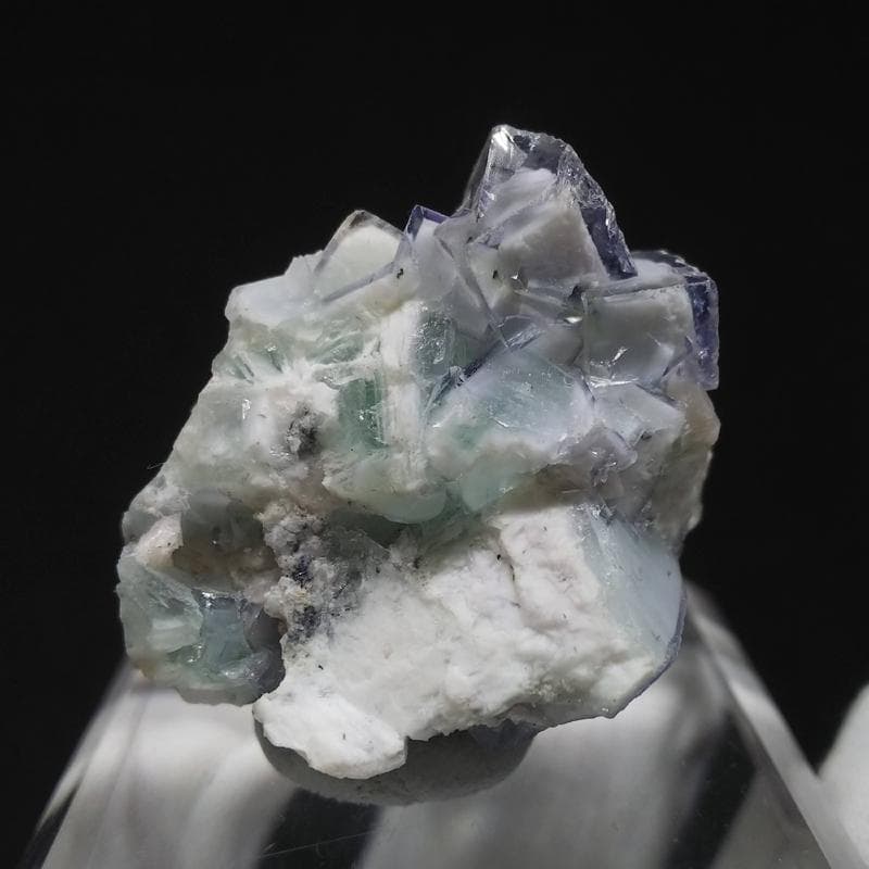 329 ポーセリンフローライト