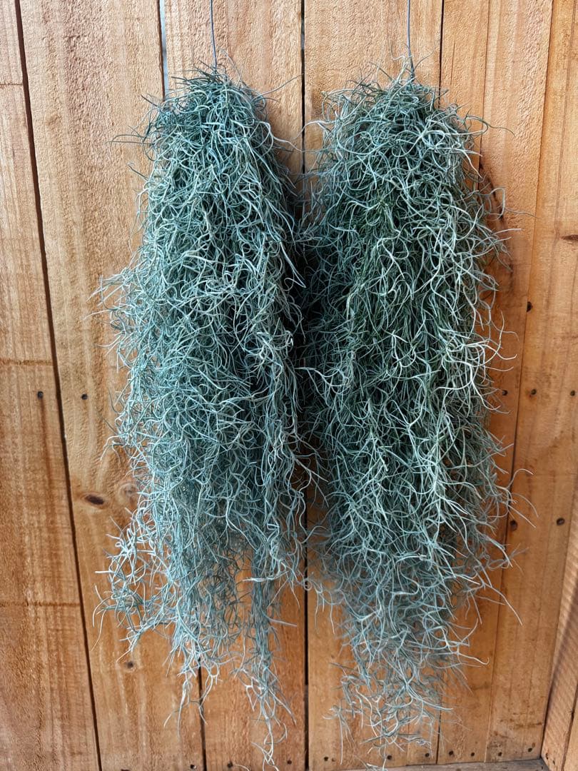 tsubura様 リクエスト 3点 まとめ商品