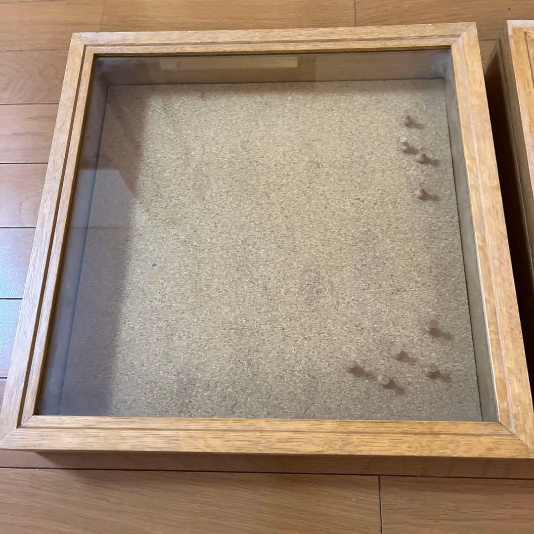 インテリア　ガラスケース　2セット　ルアー