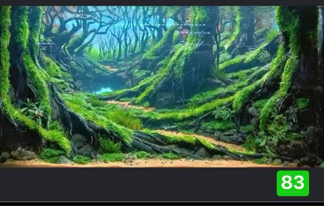 水槽用流木 流木 ブランチウッド 。アクアリウム　パルダリウム　マシンガンウッド