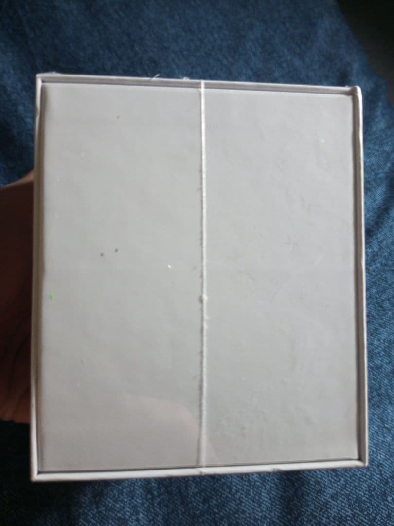 Insta360 Flow Pro シルバーグレー