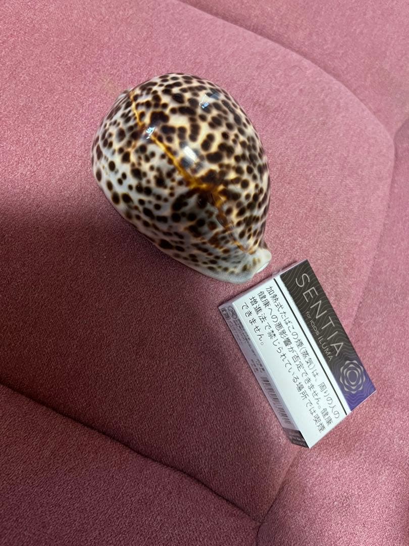 まーくんさん専用