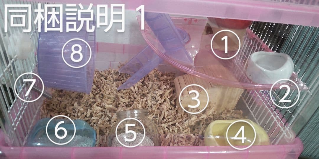 ハムスター飼育セット 移動ケージ付き