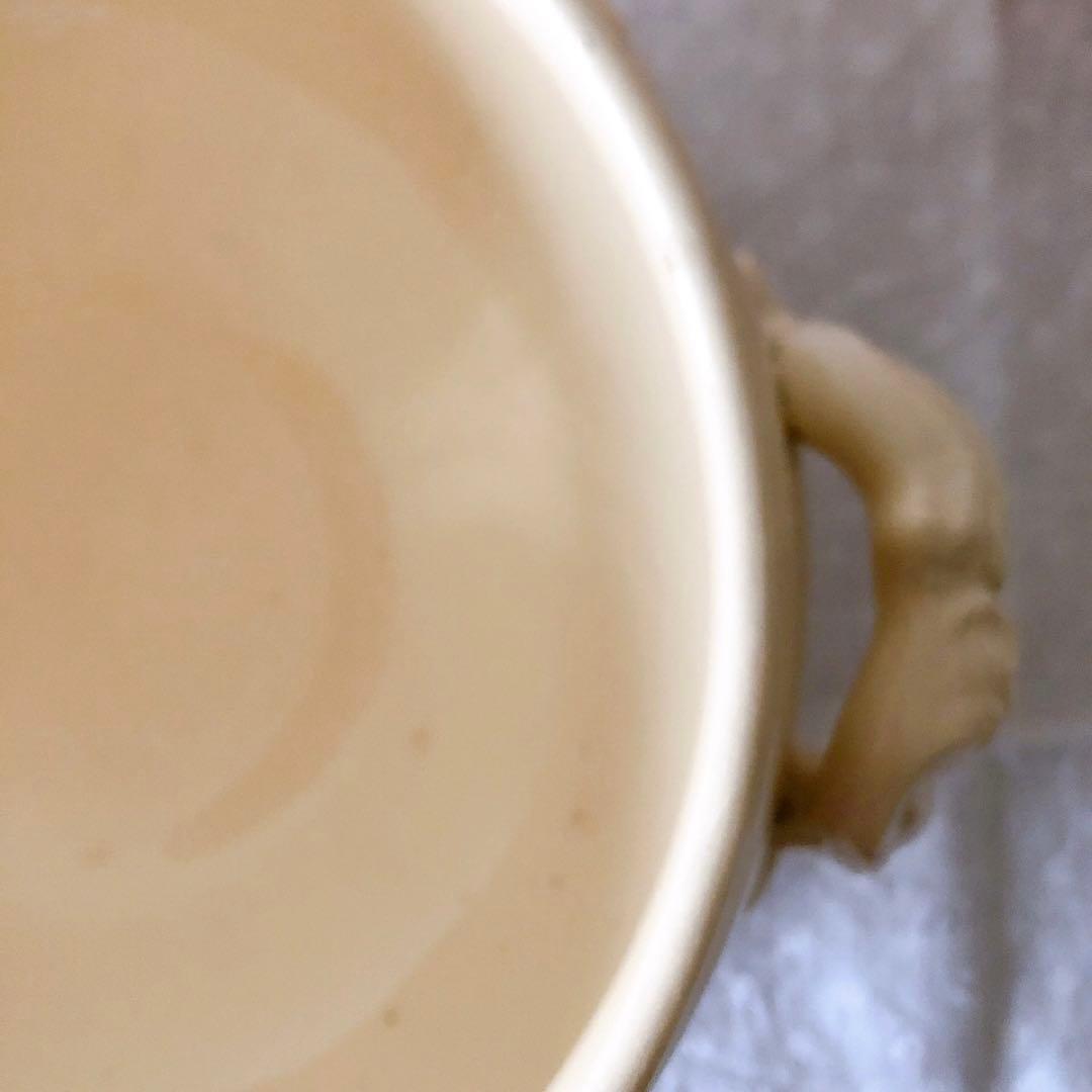 ディゴワンサルグミンヌ 花リムスーピエール フランスアンティーク食器　ブロカント