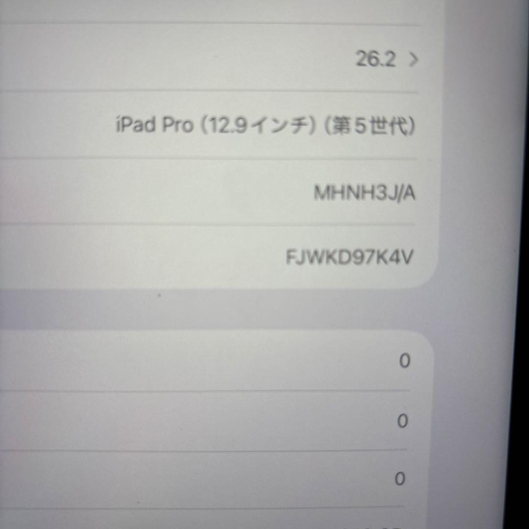 Apple iPad Pro12.9インチ第5世代