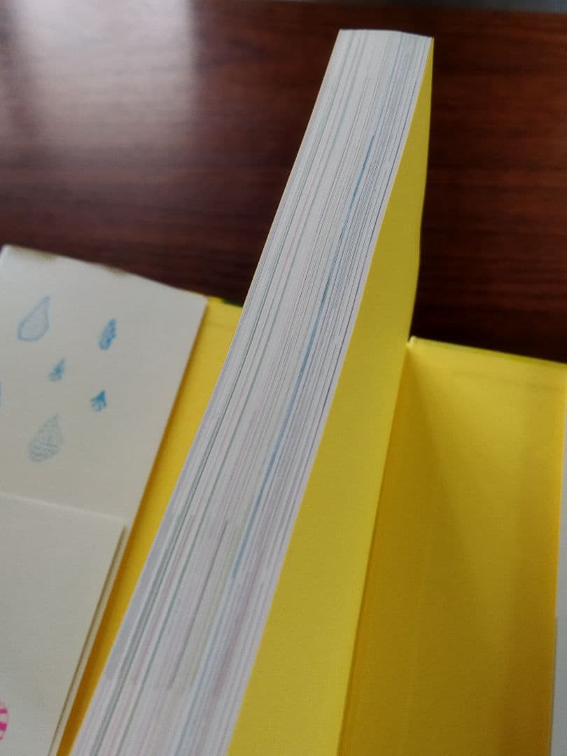 子どもたちの100の言葉 レッジョ・エミリアの幼児教育実践記録