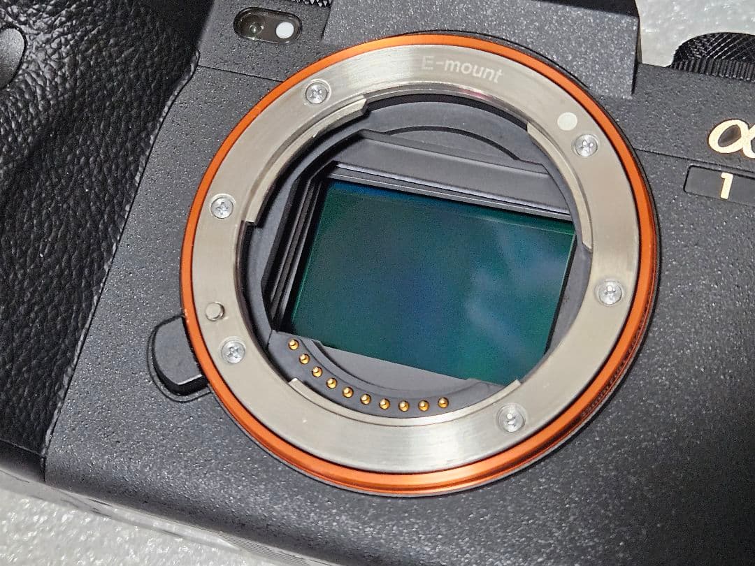 美品 SONY α1 ILCE-1（シャッター回数422回）