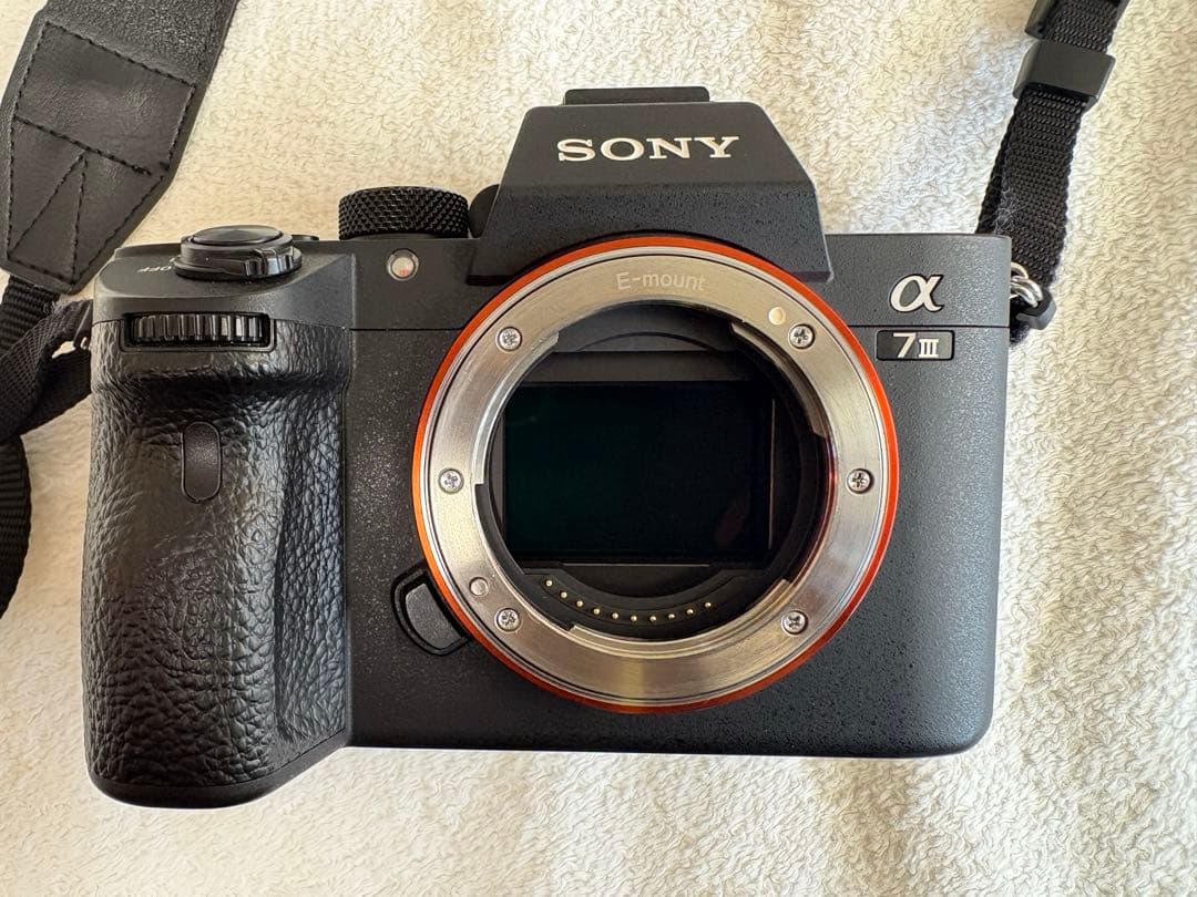 Sony α7 III ＋FE 24-105mmF4G ＋HVL-F46RM